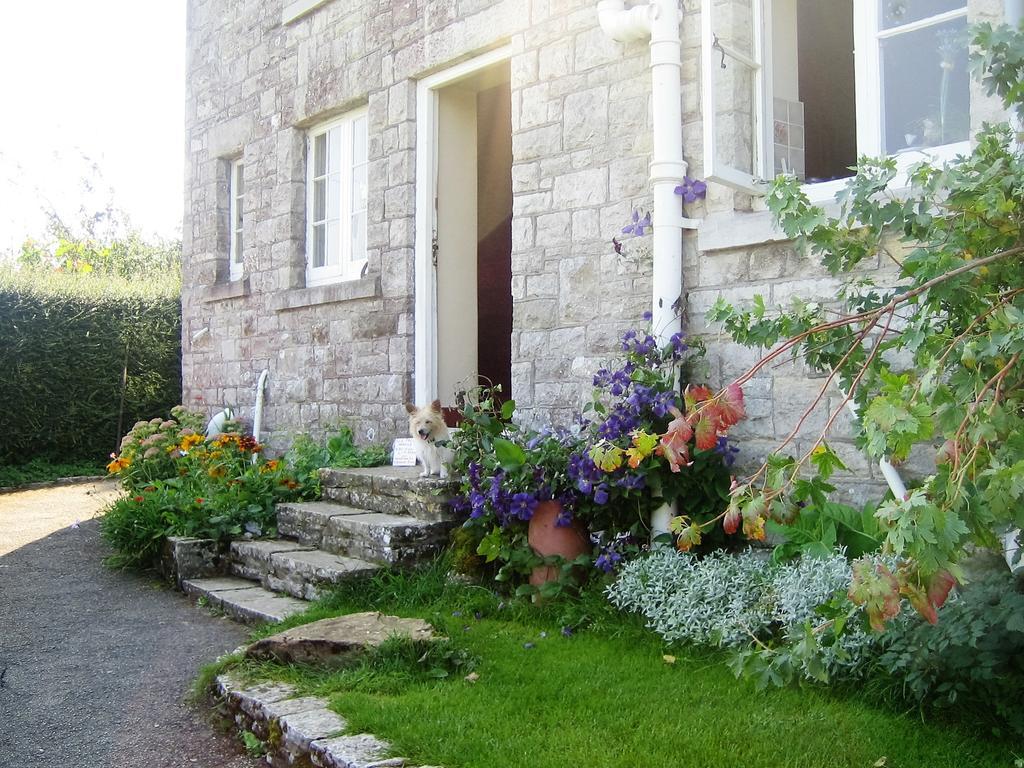 Downshay Farm Swanage